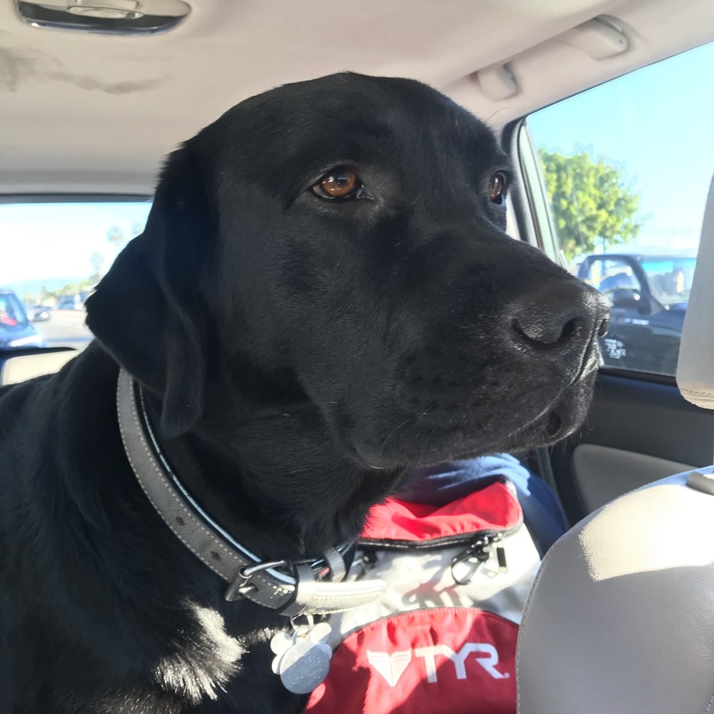 Meet your Posher, Dania